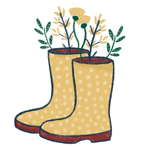 Wellington boots illustration
