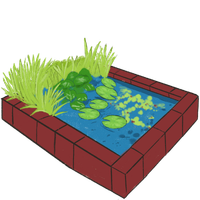 pond Pond illustration
